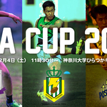 IIDACUP2017